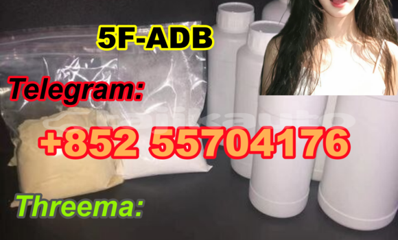 Medium with watermark f695cf5f 8e8a 4b73 9af0 89681cc6ea17