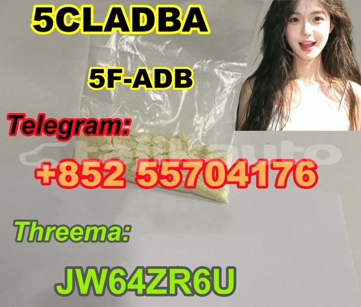 Big with watermark ac ace sughd buston 13311