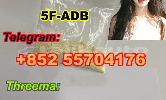 Buy New AC Ace Black Car in Buston in Sughd