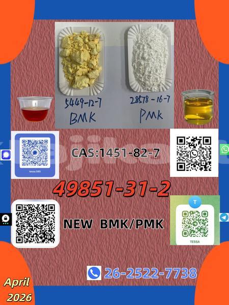 Big with watermark 0402 49851