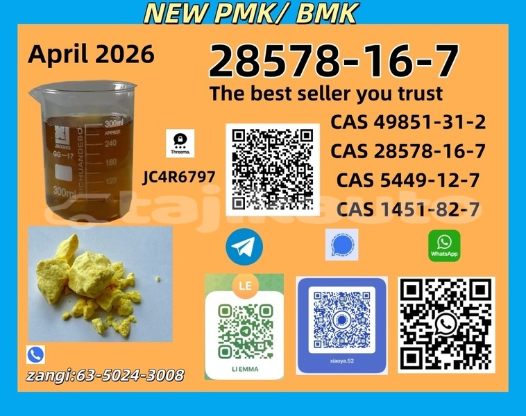 Big with watermark adler trumpf junior sughd asht 13545