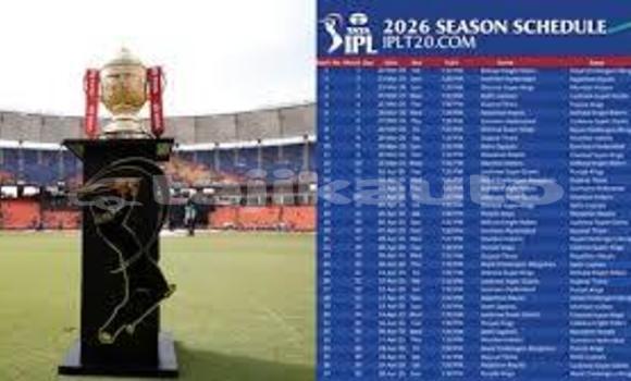 Medium with watermark 24