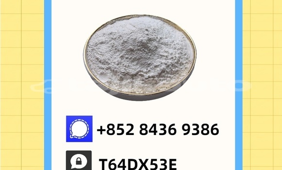 Buy Used Aurus Senat Black Car in Chkalov in Sughd