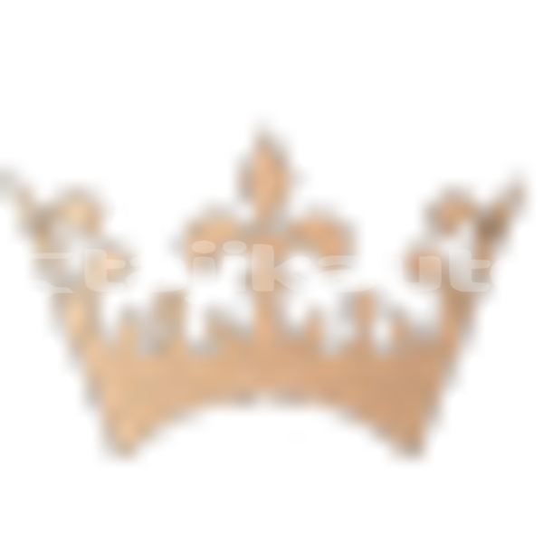 Big with watermark 1764157679914 favicon