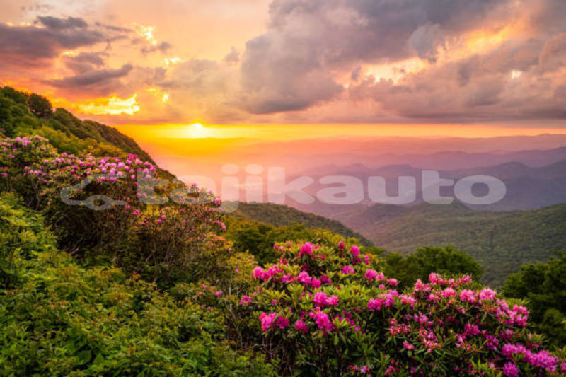 Big with watermark alfa romeo 159 khatlon dangara 13834