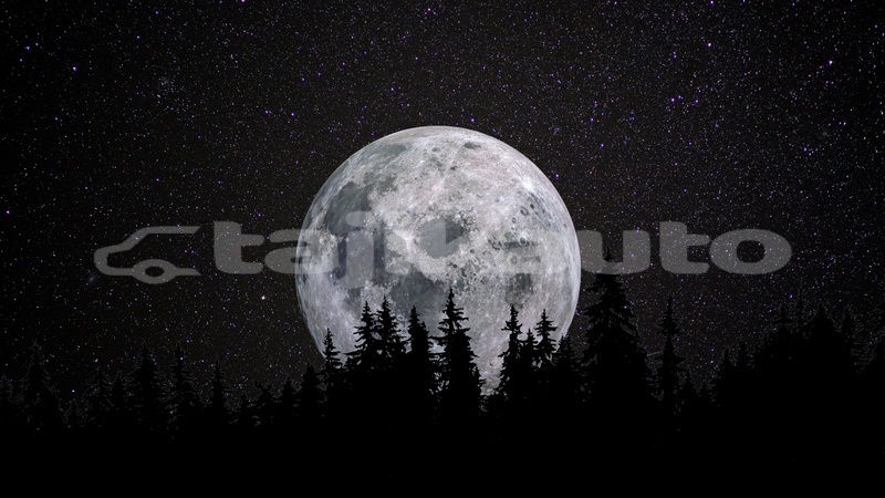 Big with watermark full moon forest night dark starry sky 5k 8k 3840x2160 1684
