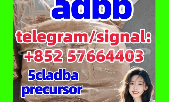 Medium with watermark 5cc4