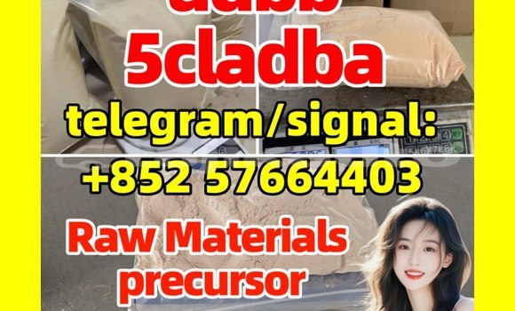 Medium with watermark 54