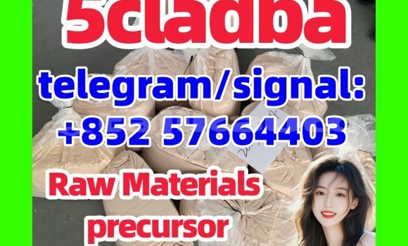 Medium with watermark 554