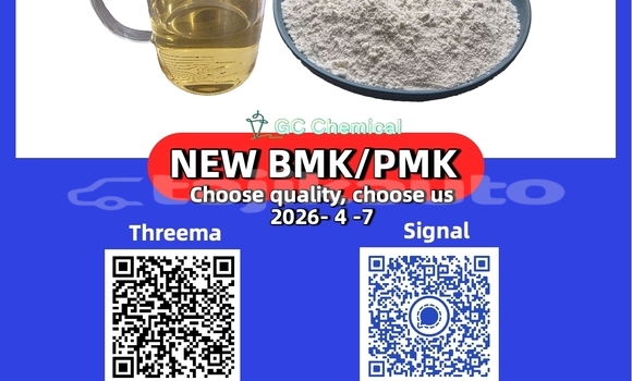 Buy New Alfa Romeo 146 Brown Car in Chkalov in Sughd Buy New Alfa Romeo 146 Brown Car in Chkalov in Sughd