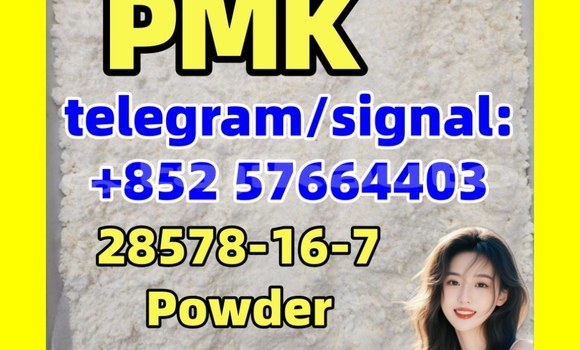 Medium with watermark p4