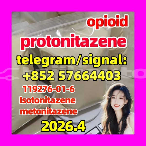 Big with watermark pro4