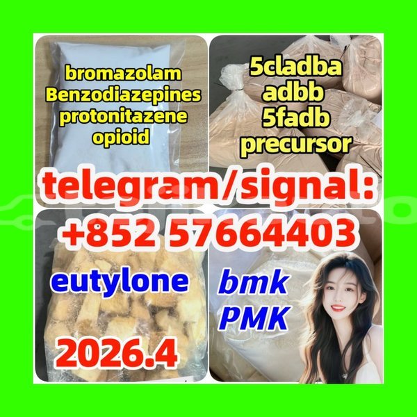 Big with watermark z4