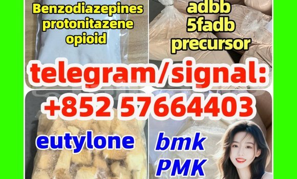 Medium with watermark z4