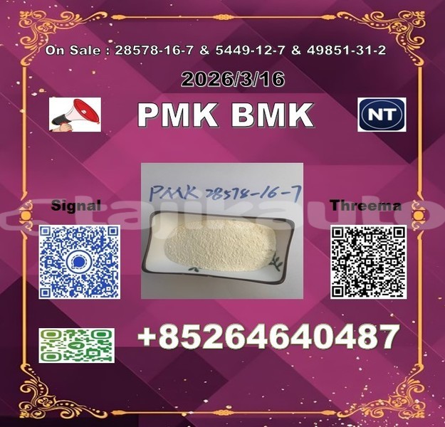 Big with watermark 2026 03 18 110612