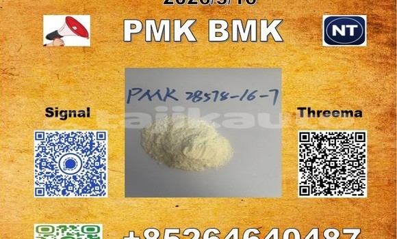 Medium with watermark 2026 03 18 110806 %e5%89%af%e6%9c%ac 2 