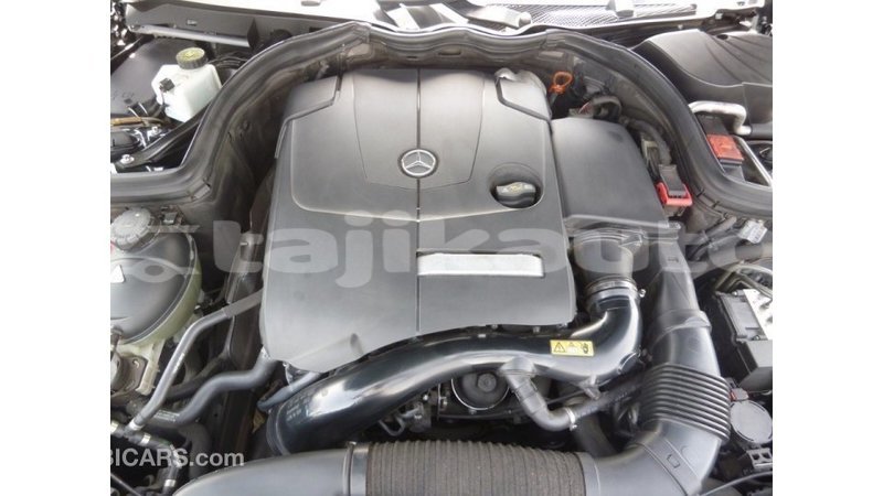 Big with watermark 99856e9f 288e 4ed9 9f95 ae07db7637ae