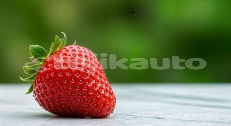 Big with watermark acura el karotegin leninskiy 13974