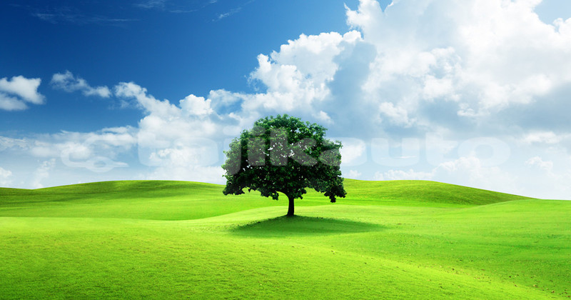 Big with watermark adler trumpf junior sughd chkalov 13976