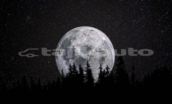 Medium with watermark 4k moon harris