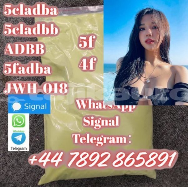 Big with watermark screenshot 37