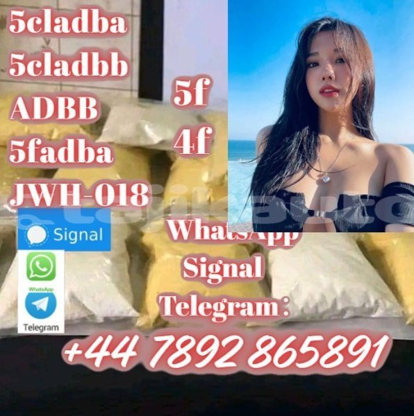 Big with watermark screenshot 38