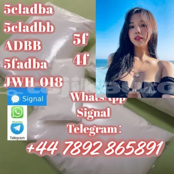 Big with watermark screenshot 39