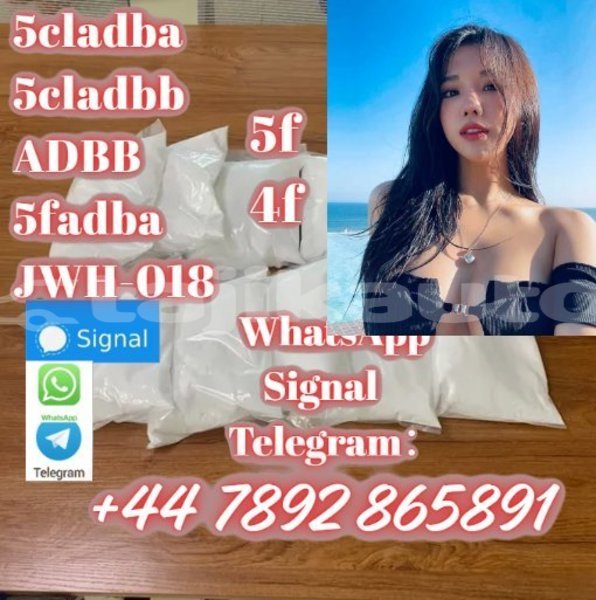 Big with watermark screenshot 44