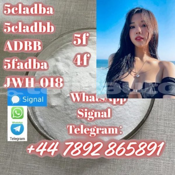 Big with watermark screenshot 45