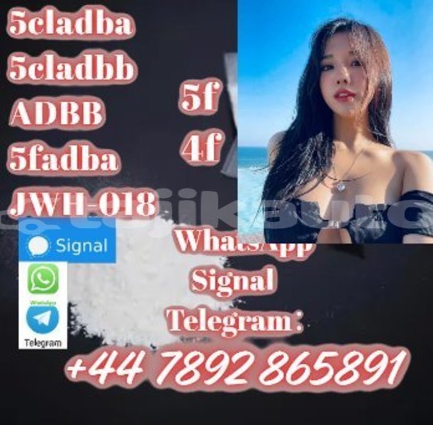 Big with watermark screenshot 46