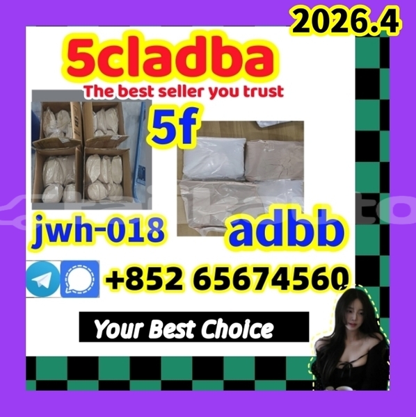 Big with watermark 5clad13 %e5%89%af%e6%9c%ac12