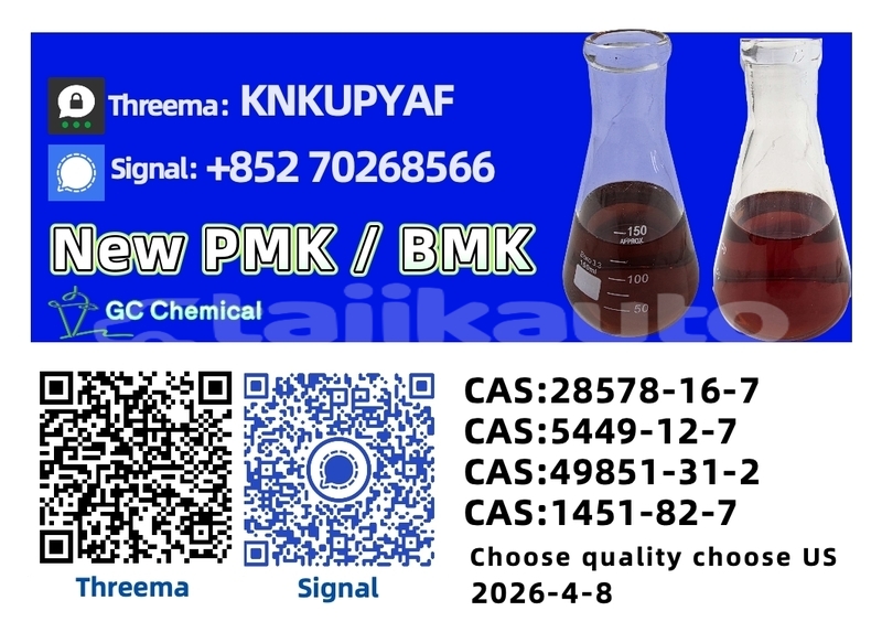 Big with watermark amc hornet karotegin tursunzoda 14167