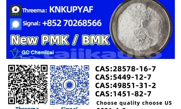 Buy New Bristol Blenheim Speedster Green Car in Qayroqqum in Sughd