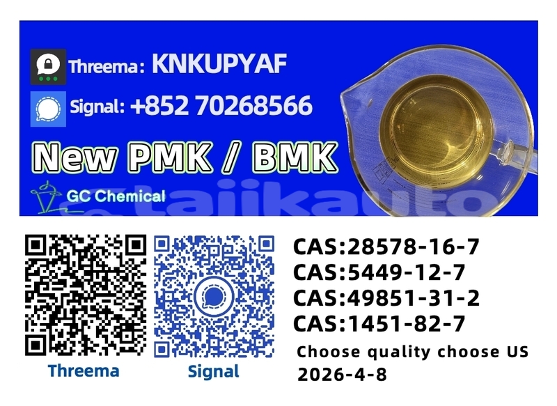 Big with watermark adler diplomat sughd proletarsk 14174