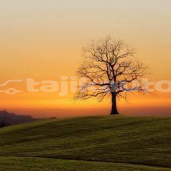 Big with watermark alfa romeo 155 sughd ayni 14183