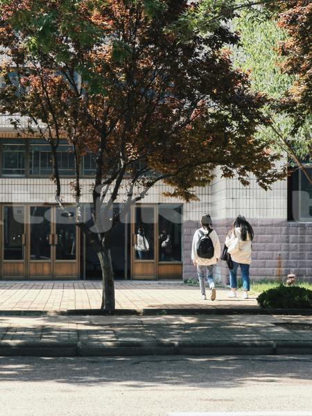 Big with watermark alfa romeo 156 sughd asht 14400