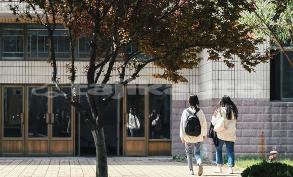 Buy Used Alfa Romeo 156 Green Car in Asht in Sughd