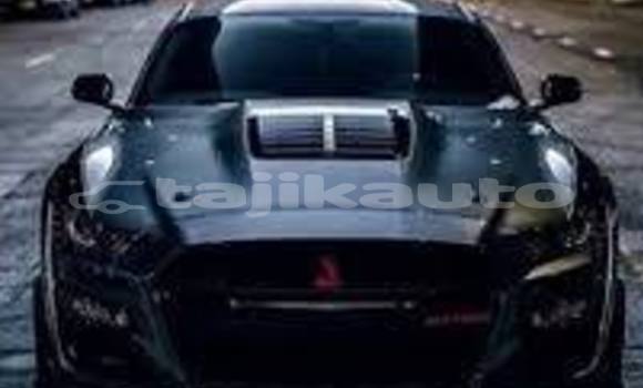 Buy dfgfxzh in Buston in Sughd Buy dfgfxzh in Buston in Sughd