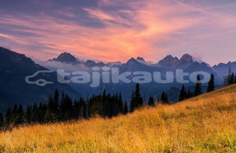 Big with watermark adler trumpf junior sughd ayni 14425