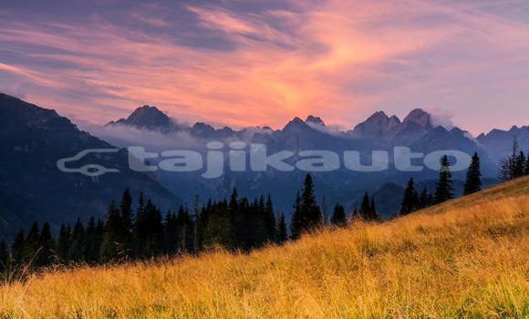 Buy Used Adler Trumpf Junior Brown Car in Ayni in Sughd