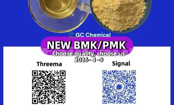 Buy Used Alfa Romeo 145 Blue Car in Tursunzoda in Karotegin