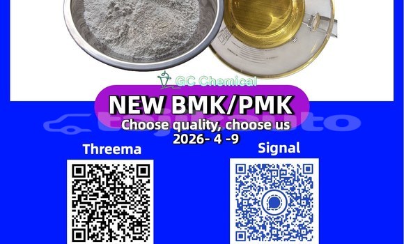 Buy Used Ashok Leyland PICK UP CARGO Green Car in Dangara in Khatlon