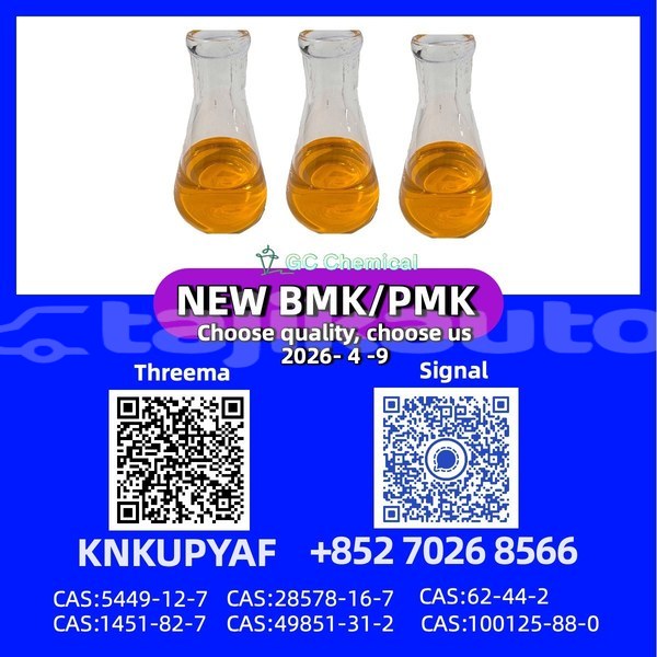 Big with watermark bertone freeclimber karotegin tursunzoda 14472