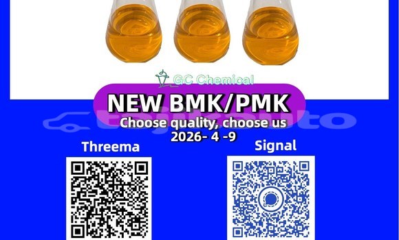 Buy Used Bertone Freeclimber Blue Car in Tursunzoda in Karotegin