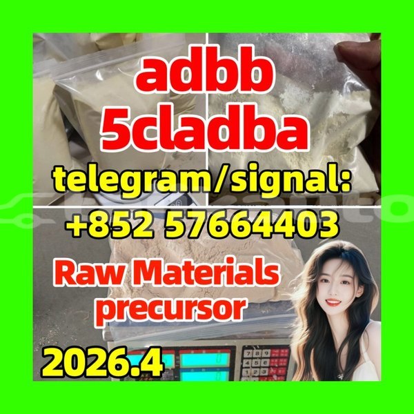 Big with watermark 51