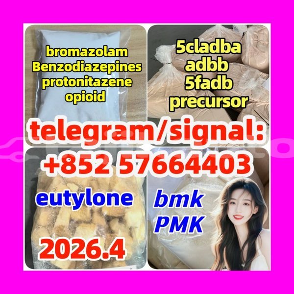 Big with watermark z1