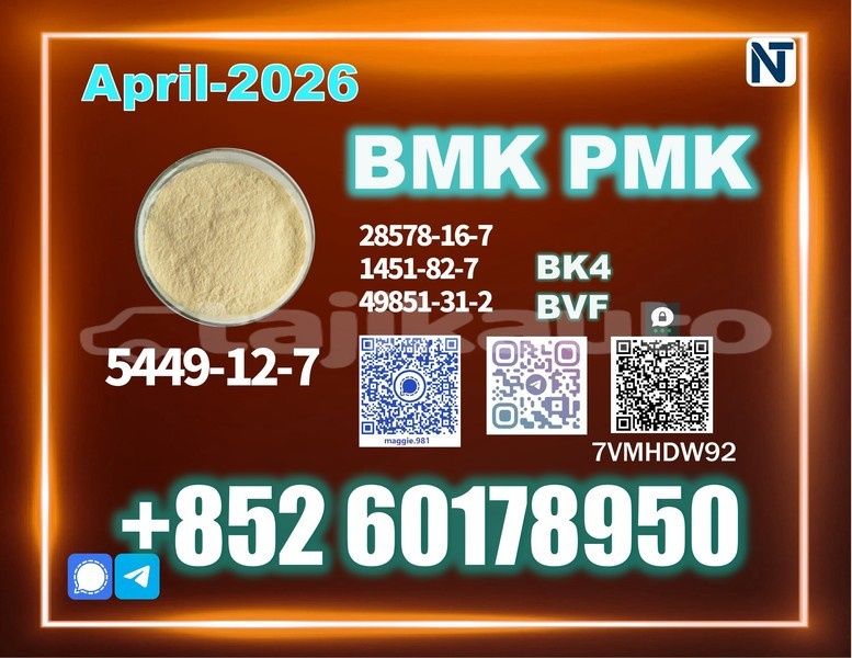 Big with watermark byd g3 sughd konibodom 14509