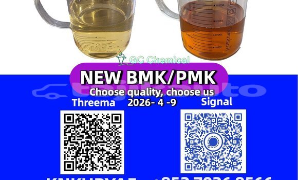 Buy Used Adler Trumpf Junior Brown Car in Garm in Karotegin Buy Used Adler Trumpf Junior Brown Car in Garm in Karotegin