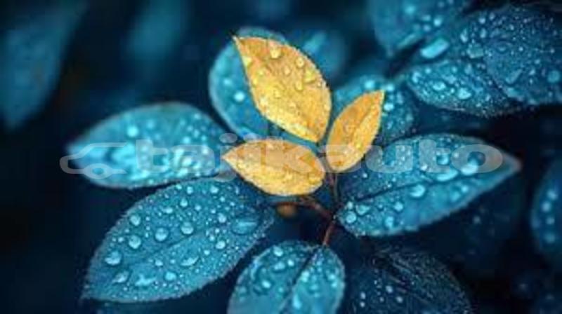 Big with watermark download 1