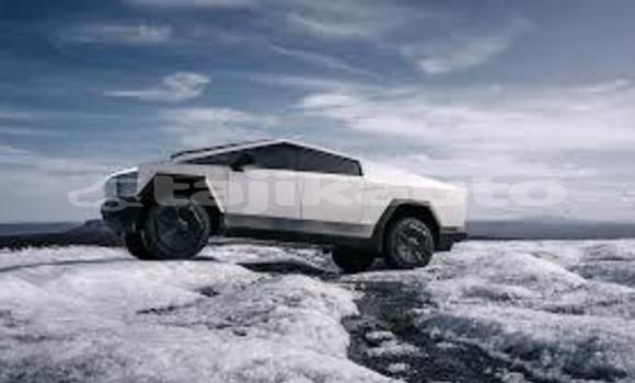 Buy df in Jilikul in Khatlon Buy df in Jilikul in Khatlon